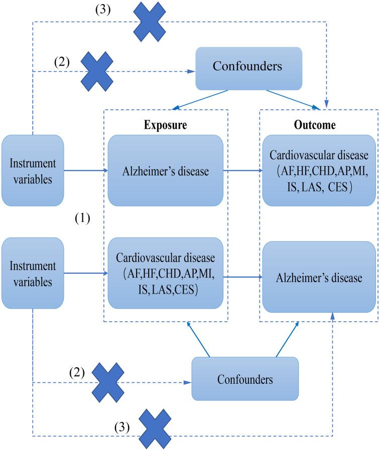 https://cdn.ncbi.nlm.nih.gov/pmc/blobs/7552/10522384/b88857989c80/aging-15-205013-g001.jpg