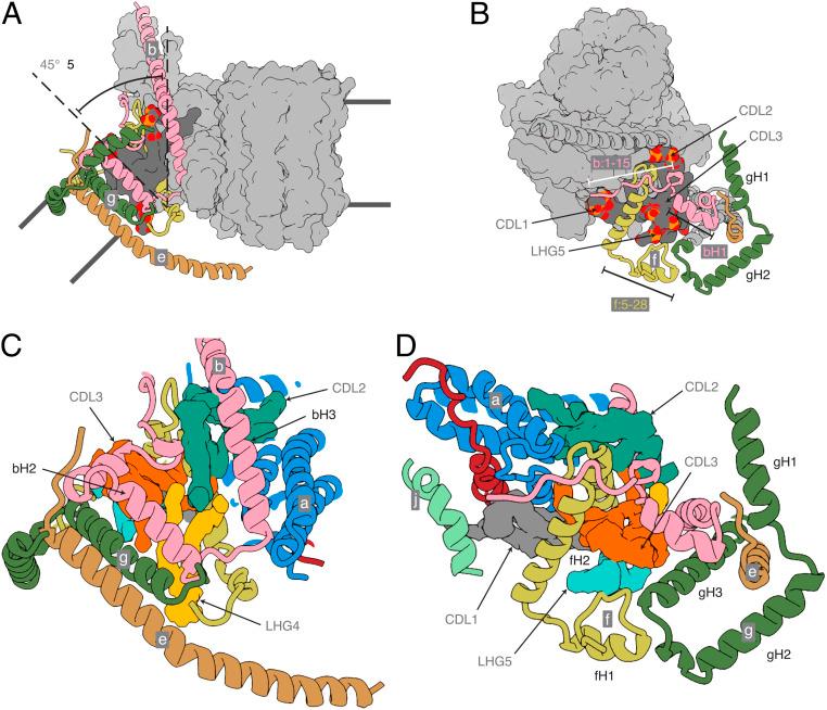 https://cdn.ncbi.nlm.nih.gov/pmc/blobs/7552/7519299/a92b9899ae6d/pnas.2013998117fig04.jpg