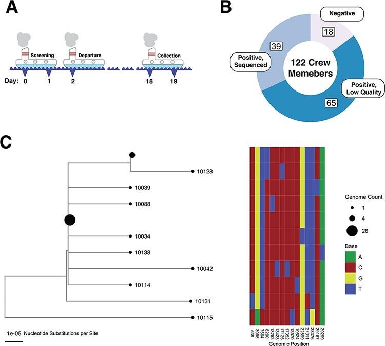 https://cdn.ncbi.nlm.nih.gov/pmc/blobs/75ae/9257191/76129564b11d/veac052f1.jpg