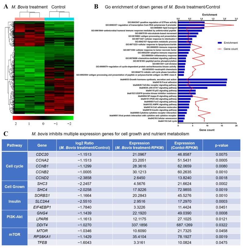 https://cdn.ncbi.nlm.nih.gov/pmc/blobs/75de/9699266/ce9e09f6895a/vetsci-09-00630-g002.jpg