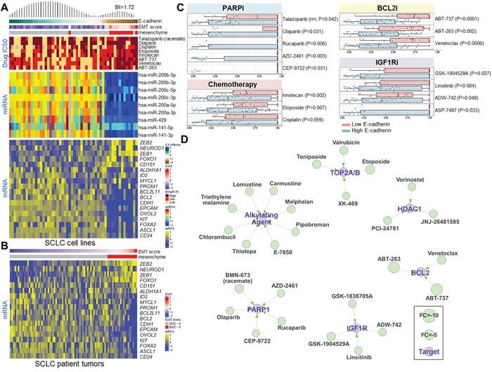 https://cdn.ncbi.nlm.nih.gov/pmc/blobs/75eb/5438673/28dd42f3261c/oncotarget-08-28575-g005.jpg