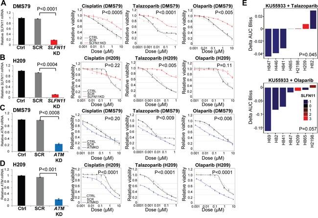 https://cdn.ncbi.nlm.nih.gov/pmc/blobs/75eb/5438673/e7caccc38454/oncotarget-08-28575-g003.jpg