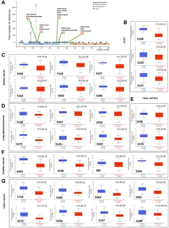 https://cdn.ncbi.nlm.nih.gov/pmc/blobs/75f5/8266322/5811e73deaa9/aging-13-203154-g005.jpg