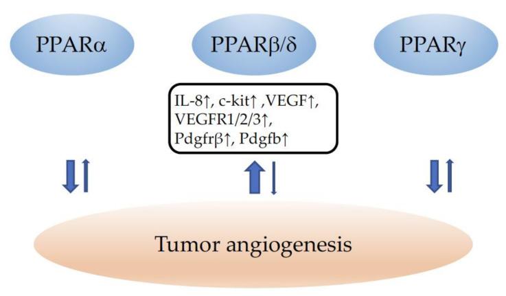 https://cdn.ncbi.nlm.nih.gov/pmc/blobs/760b/9368267/a7b47234c75d/cells-11-02432-g003.jpg