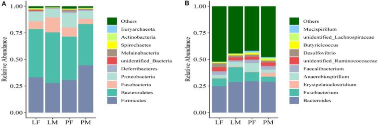 https://cdn.ncbi.nlm.nih.gov/pmc/blobs/7614/7578374/258ac4509bb7/fmicb-11-565367-g006.jpg