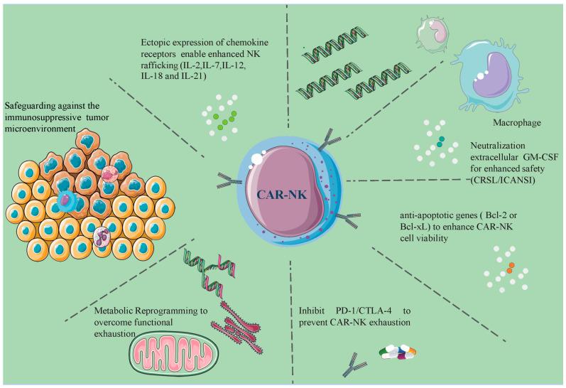https://cdn.ncbi.nlm.nih.gov/pmc/blobs/7618/11352442/81922bfe8236/biomolecules-14-01035-g005.jpg
