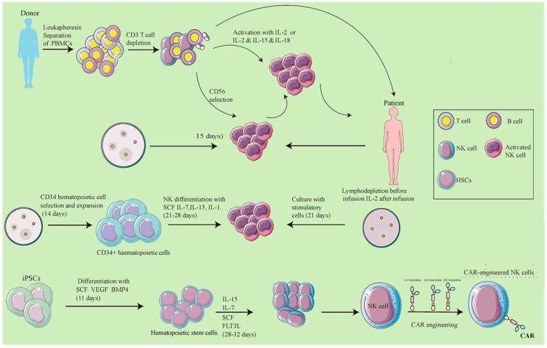 https://cdn.ncbi.nlm.nih.gov/pmc/blobs/7618/11352442/89ba4dbc2ad6/biomolecules-14-01035-g004.jpg