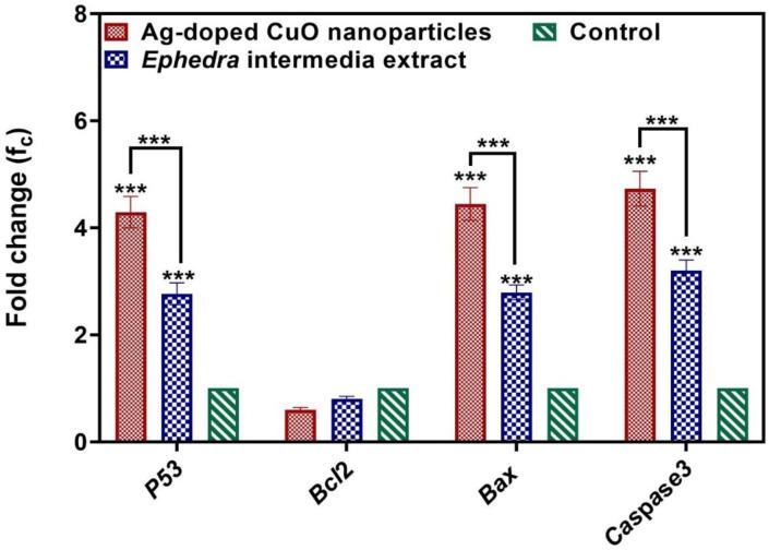 https://cdn.ncbi.nlm.nih.gov/pmc/blobs/7624/11530949/defa4facd71e/ijmcm-13-303-g005.jpg