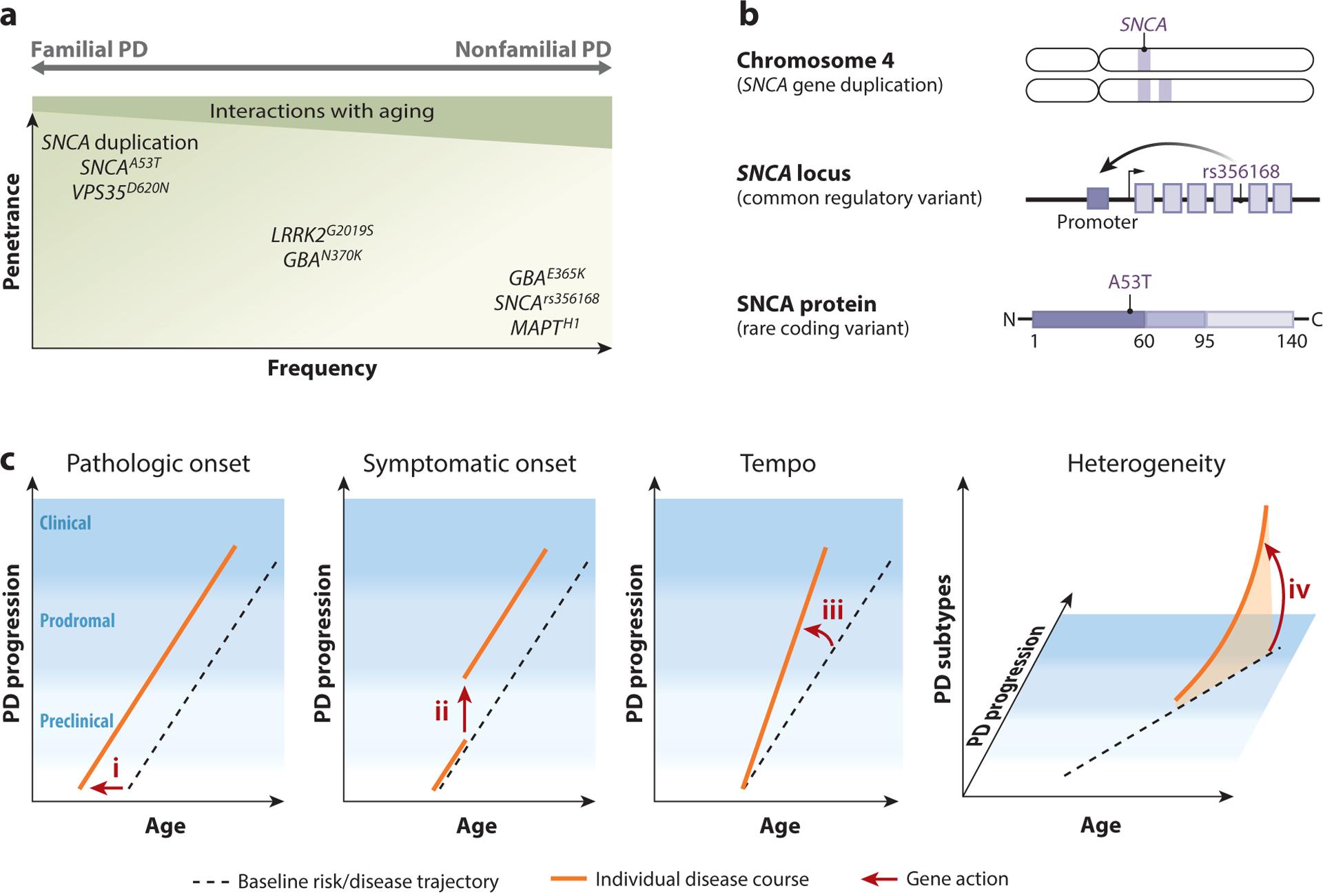 https://cdn.ncbi.nlm.nih.gov/pmc/blobs/763b/10290758/8242e47c3ff6/nihms-1907958-f0002.jpg