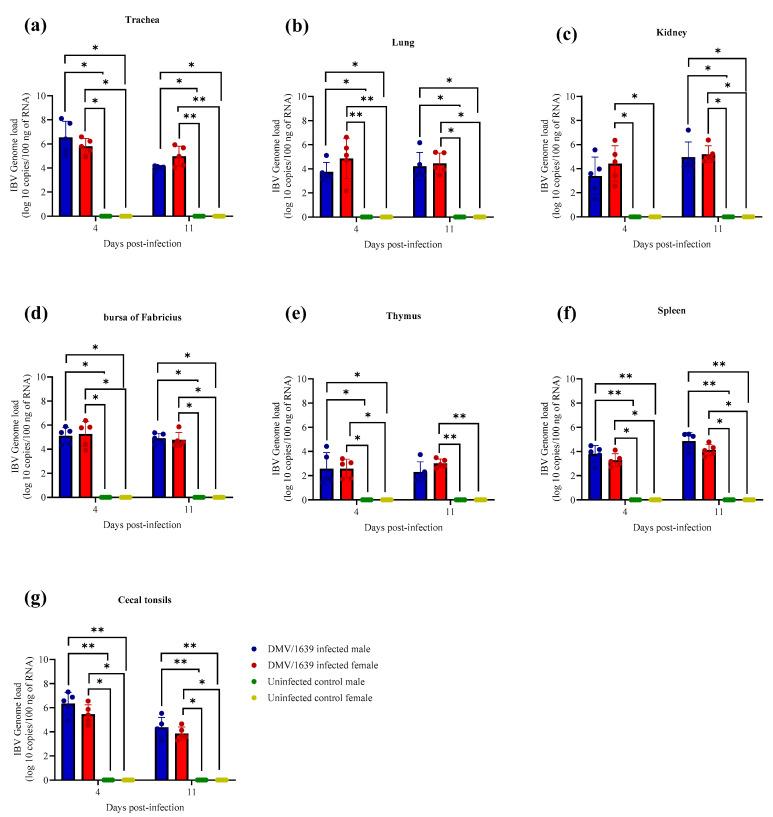 https://cdn.ncbi.nlm.nih.gov/pmc/blobs/7654/10747771/032065c2220c/viruses-15-02285-g002.jpg