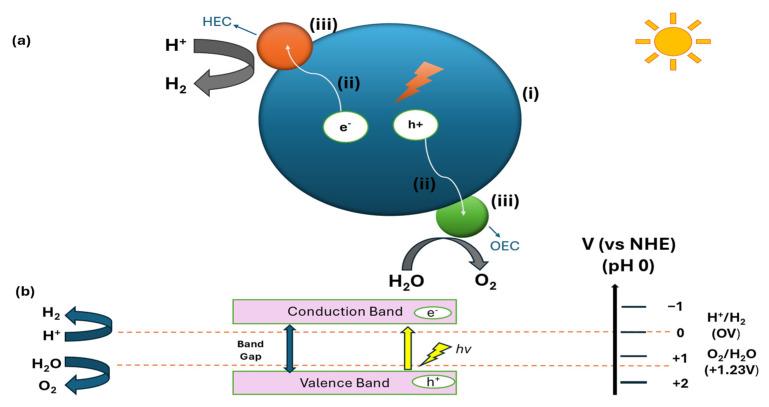 https://cdn.ncbi.nlm.nih.gov/pmc/blobs/765c/11901858/73b2e067323c/molecules-30-01127-g002.jpg