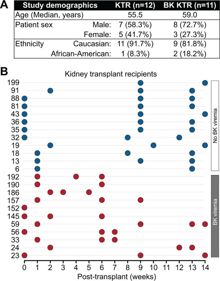 https://cdn.ncbi.nlm.nih.gov/pmc/blobs/7665/11302341/6ae0d4f92393/spectrum.04055-23.f001.jpg