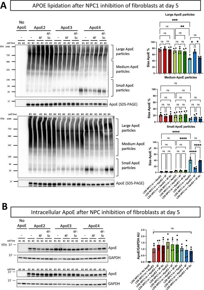 https://cdn.ncbi.nlm.nih.gov/pmc/blobs/7665/12041514/42c428829083/41598_2025_96531_Fig6_HTML.jpg