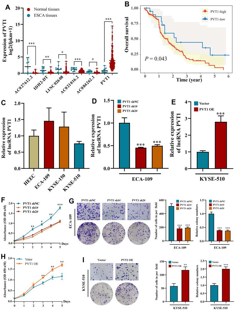 https://cdn.ncbi.nlm.nih.gov/pmc/blobs/7685/10292891/30d2a8e18ff2/aging-15-204763-g007.jpg