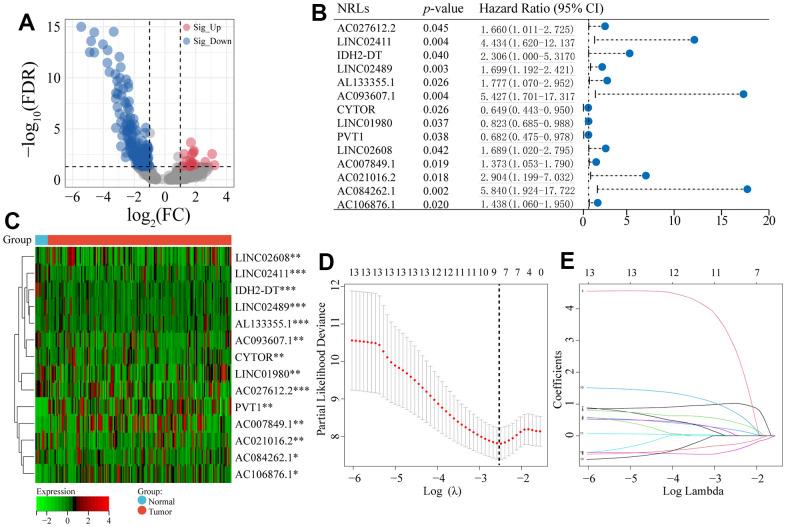 https://cdn.ncbi.nlm.nih.gov/pmc/blobs/7685/10292891/f019c3fb1d22/aging-15-204763-g002.jpg