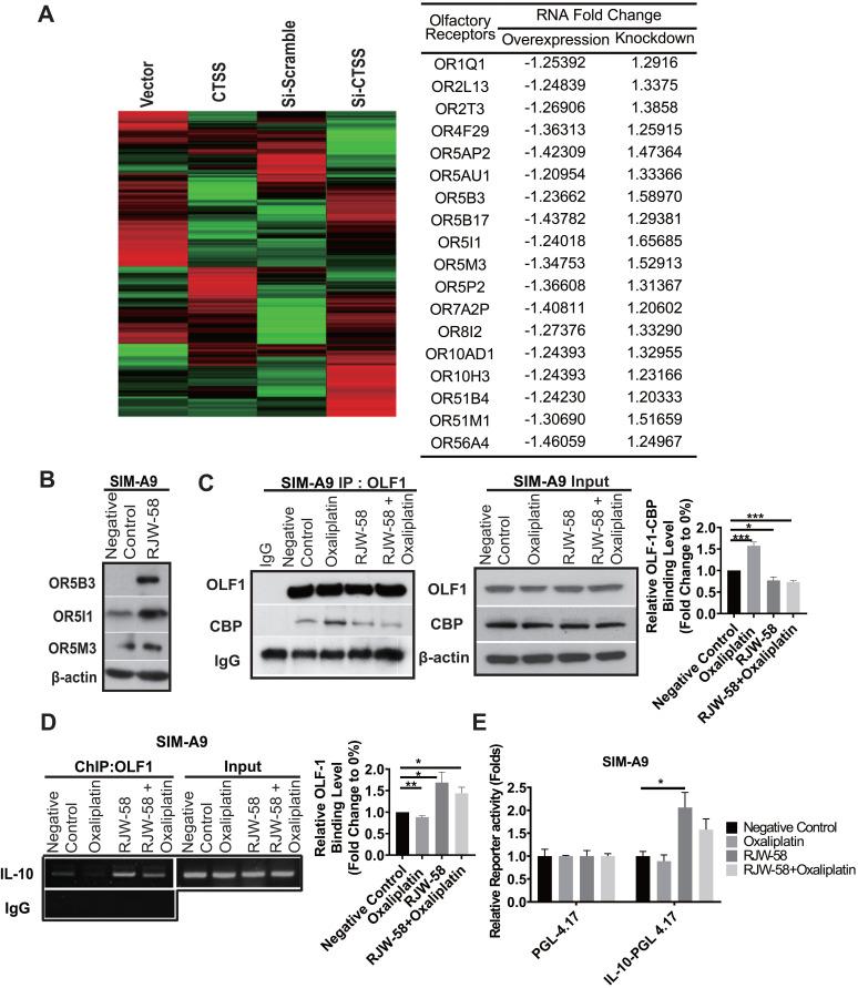 https://cdn.ncbi.nlm.nih.gov/pmc/blobs/768d/7978314/90dcea0c76a6/thnov11p4672g006.jpg