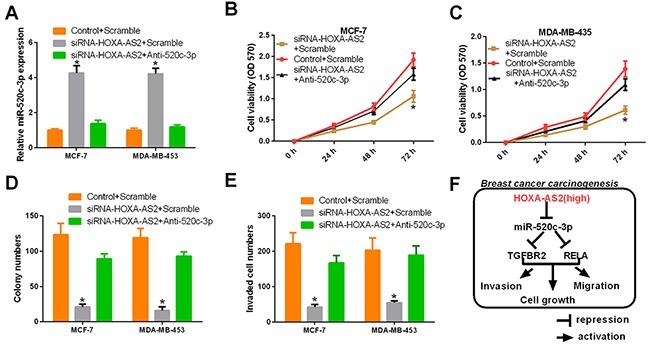 https://cdn.ncbi.nlm.nih.gov/pmc/blobs/76c9/5542252/4895270c11c6/oncotarget-08-46090-g007.jpg