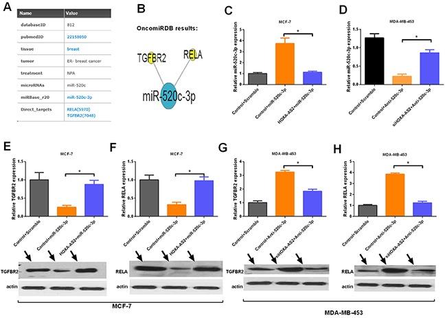 https://cdn.ncbi.nlm.nih.gov/pmc/blobs/76c9/5542252/556ecf1f916e/oncotarget-08-46090-g006.jpg