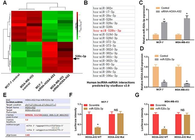 https://cdn.ncbi.nlm.nih.gov/pmc/blobs/76c9/5542252/643181728732/oncotarget-08-46090-g005.jpg