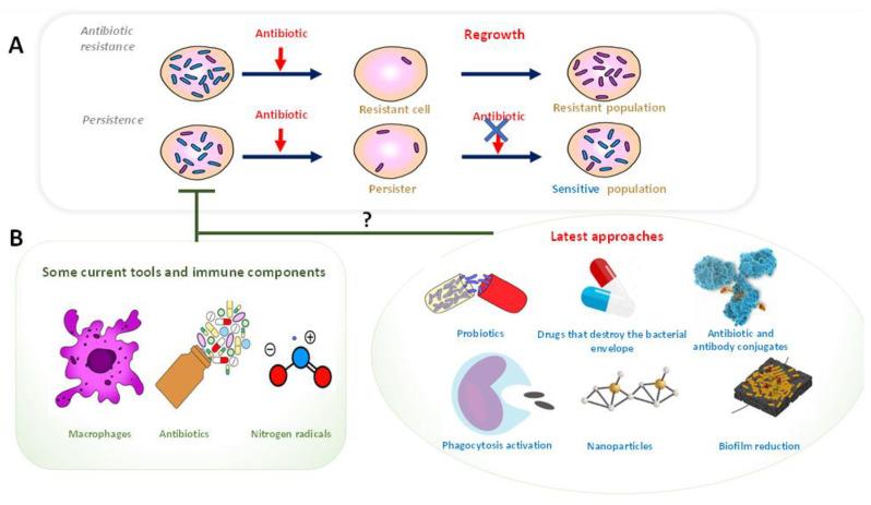 https://cdn.ncbi.nlm.nih.gov/pmc/blobs/76dd/9500725/e0d9843393ae/pathogens-11-00986-g001.jpg
