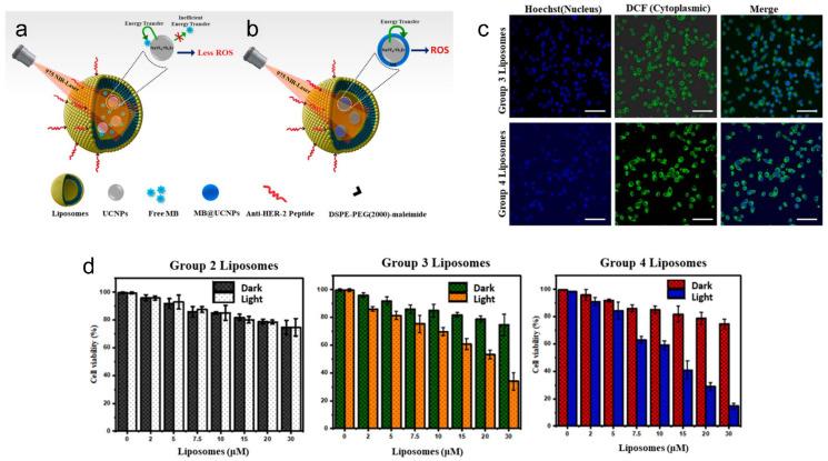 https://cdn.ncbi.nlm.nih.gov/pmc/blobs/772f/10610083/a1f0e495150c/pharmaceutics-15-02448-g001.jpg