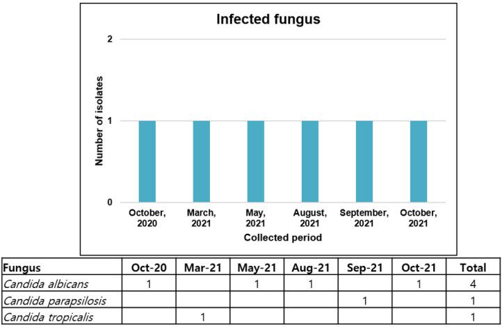 https://cdn.ncbi.nlm.nih.gov/pmc/blobs/7739/8876760/816be939fccb/viruses-14-00446-g005.jpg