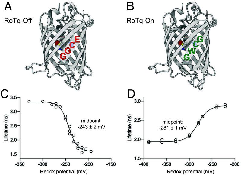https://cdn.ncbi.nlm.nih.gov/pmc/blobs/773c/12088395/6c31c96b6e8b/pnas.2503978122fig01.jpg
