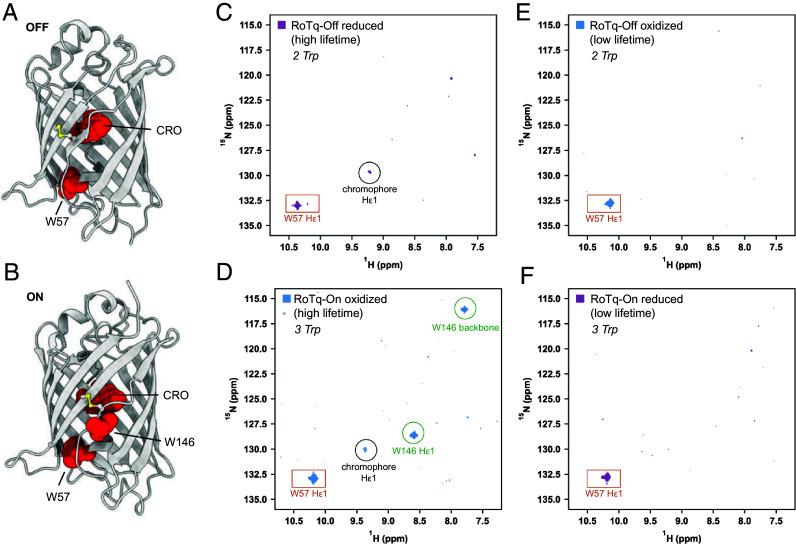 https://cdn.ncbi.nlm.nih.gov/pmc/blobs/773c/12088395/a319d8173ea2/pnas.2503978122fig03.jpg