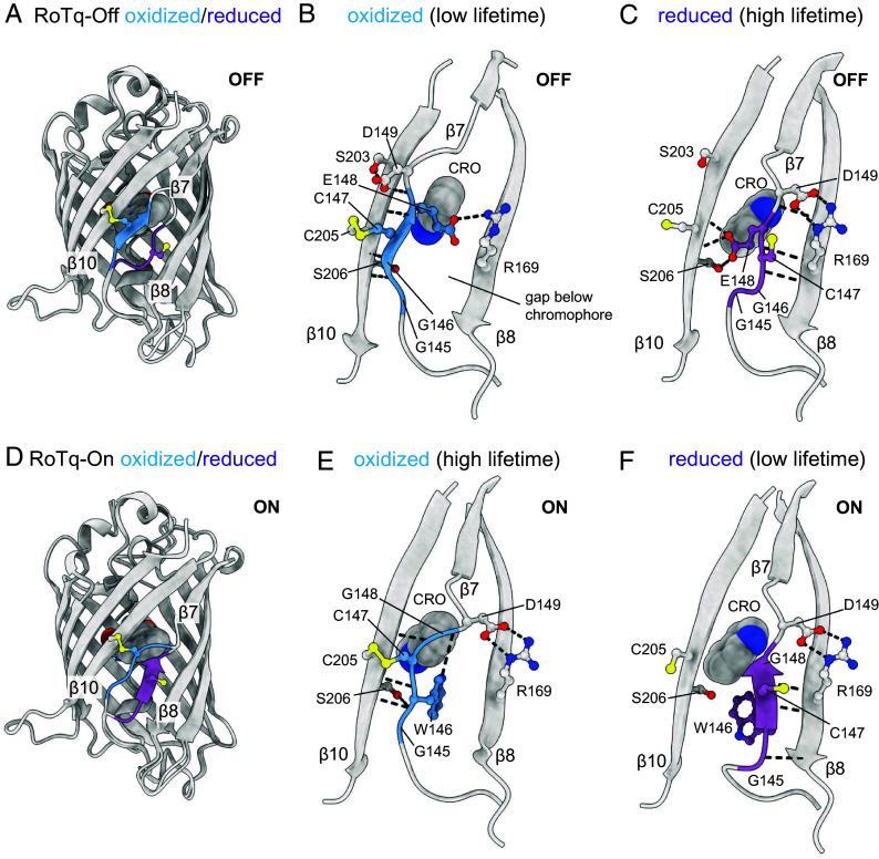 https://cdn.ncbi.nlm.nih.gov/pmc/blobs/773c/12088395/c7f92c07b233/pnas.2503978122fig02.jpg