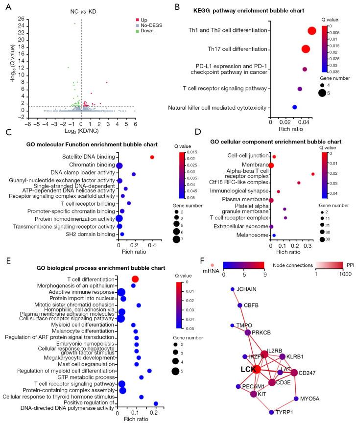 https://cdn.ncbi.nlm.nih.gov/pmc/blobs/7748/10248575/e750dae4b4ea/tcr-12-05-1175-f6.jpg