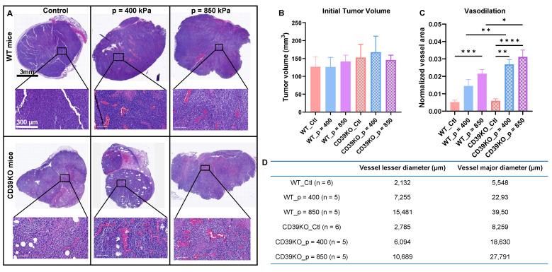 https://cdn.ncbi.nlm.nih.gov/pmc/blobs/7765/12036883/37edbc130179/thnov15p5220g003.jpg