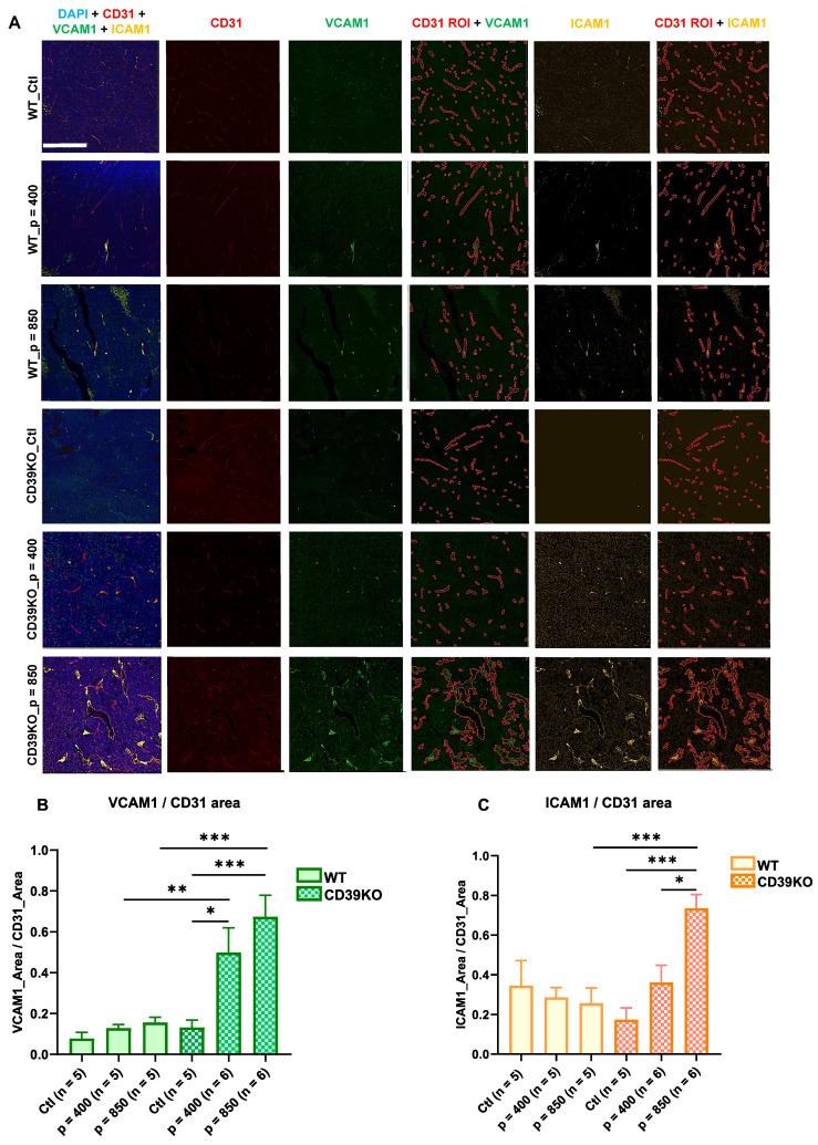 https://cdn.ncbi.nlm.nih.gov/pmc/blobs/7765/12036883/f3348b180e43/thnov15p5220g005.jpg