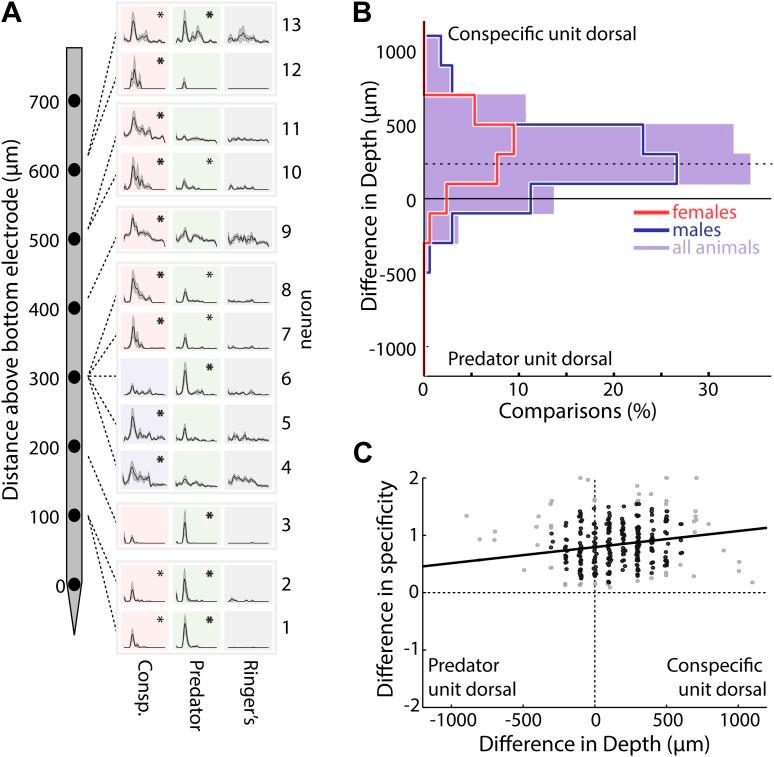 https://cdn.ncbi.nlm.nih.gov/pmc/blobs/777c/4038839/b3a9b807bd0a/elife02743fs004.jpg