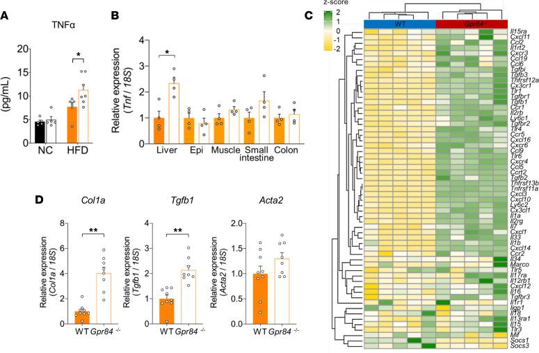 https://cdn.ncbi.nlm.nih.gov/pmc/blobs/77be/9977302/c7b628b0ee27/jciinsight-8-165469-g021.jpg