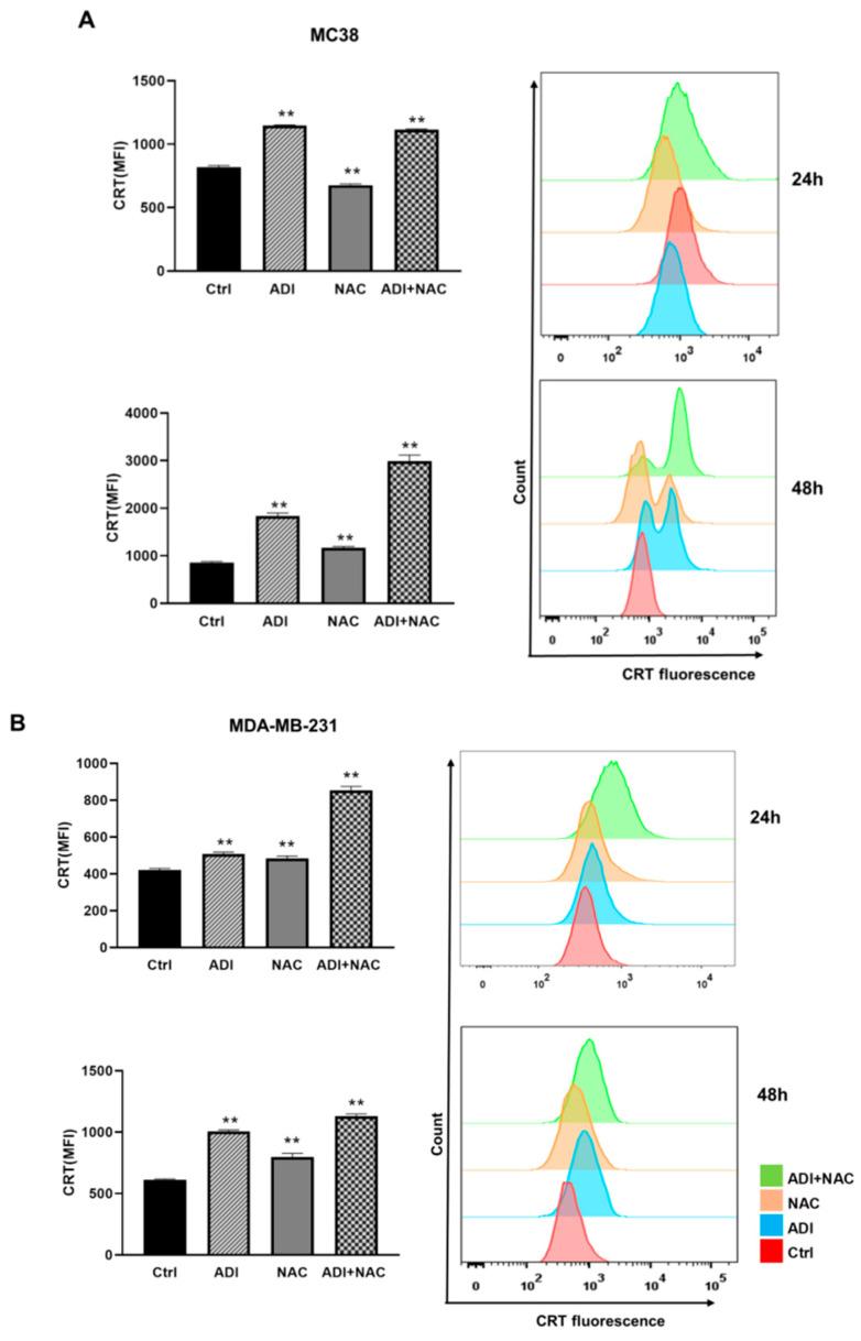 https://cdn.ncbi.nlm.nih.gov/pmc/blobs/77c4/7835909/59d2ed887c97/molecules-26-00511-g006a.jpg