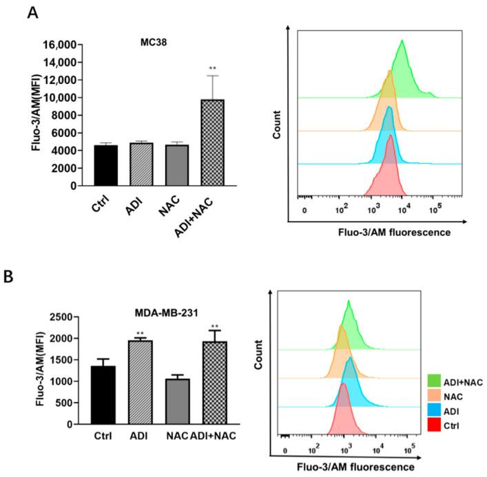 https://cdn.ncbi.nlm.nih.gov/pmc/blobs/77c4/7835909/786f9b903207/molecules-26-00511-g005.jpg