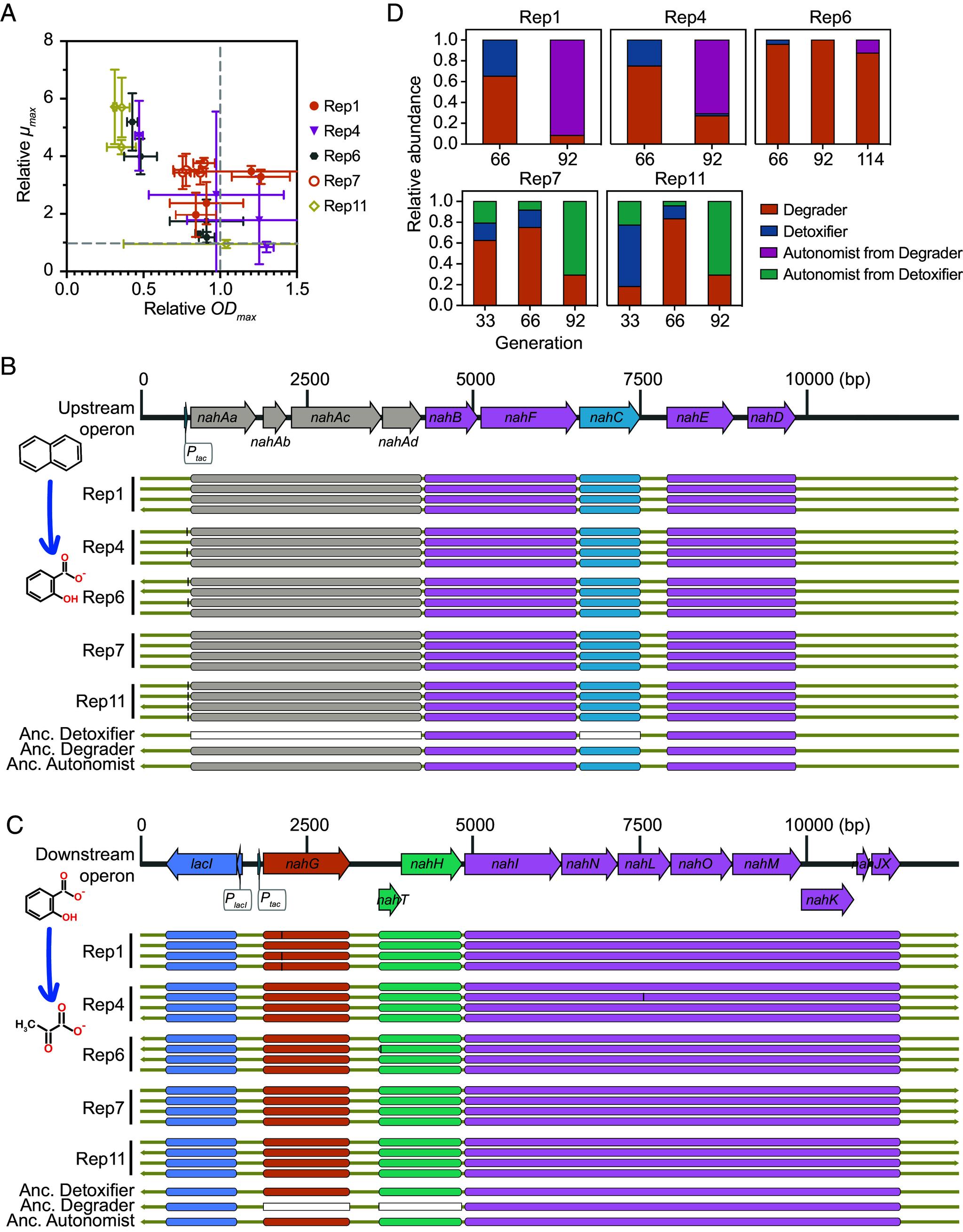https://cdn.ncbi.nlm.nih.gov/pmc/blobs/77cb/11363282/54633880b1b9/pnas.2317182121fig03.jpg