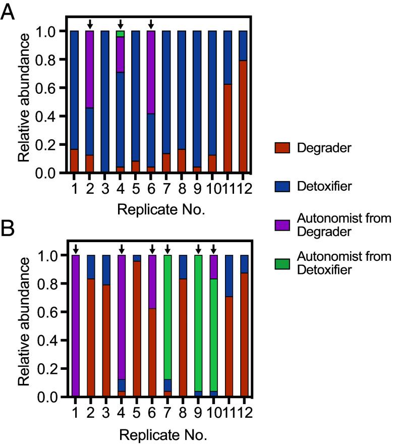 https://cdn.ncbi.nlm.nih.gov/pmc/blobs/77cb/11363282/b679cd25a9d9/pnas.2317182121fig04.jpg