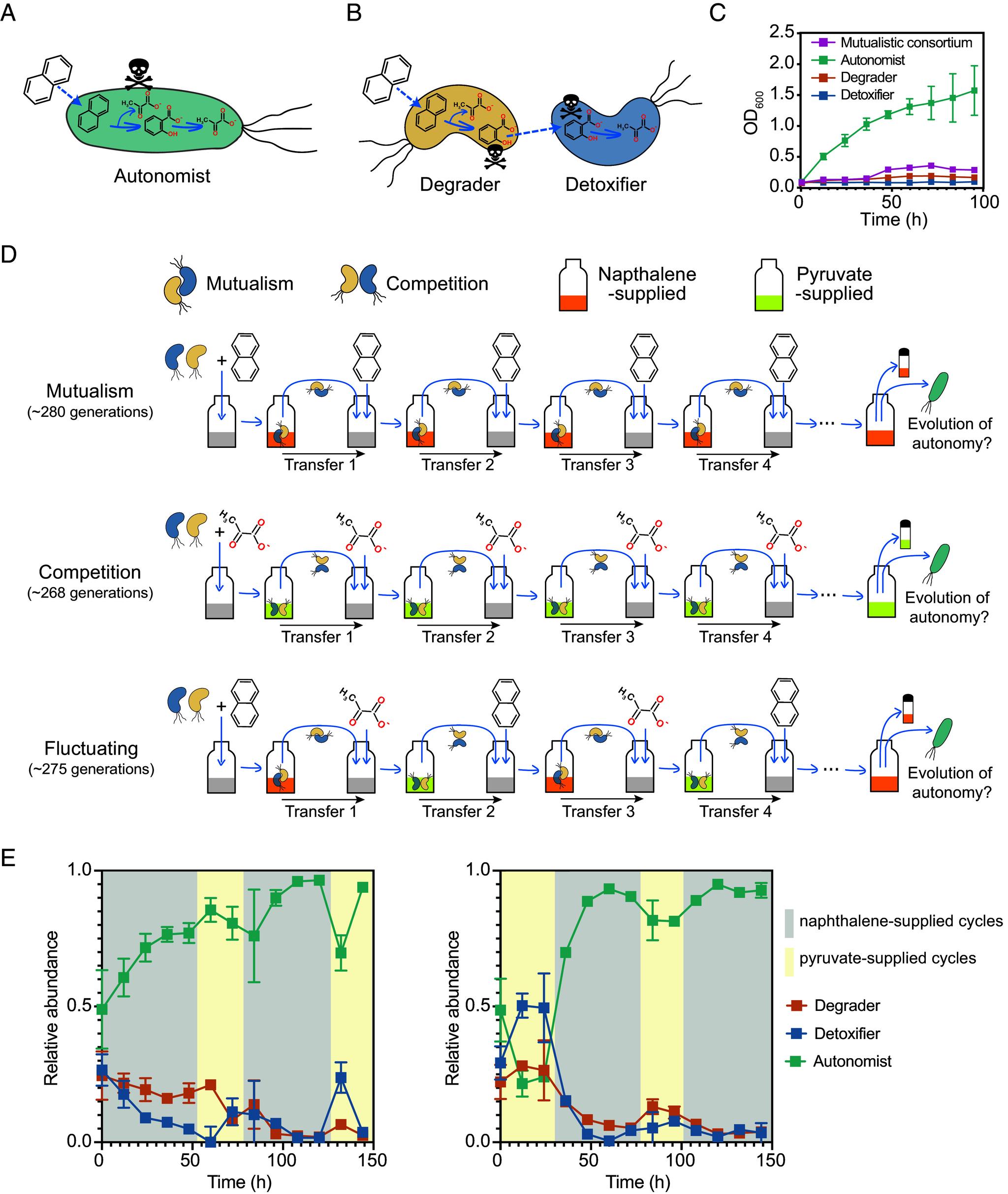 https://cdn.ncbi.nlm.nih.gov/pmc/blobs/77cb/11363282/f21d59e02e05/pnas.2317182121fig01.jpg