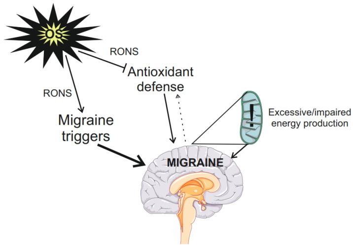 https://cdn.ncbi.nlm.nih.gov/pmc/blobs/77ef/11280075/7c16d2fca236/molecules-29-03385-g001.jpg
