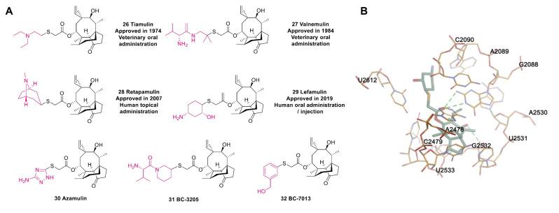 https://cdn.ncbi.nlm.nih.gov/pmc/blobs/77f2/9962477/b9079ae72280/molecules-28-01762-g009.jpg