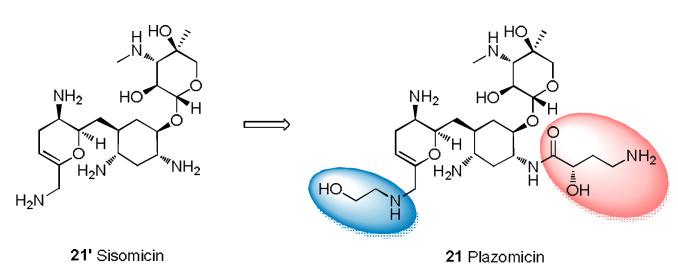 https://cdn.ncbi.nlm.nih.gov/pmc/blobs/77f2/9962477/bca683f1077d/molecules-28-01762-g006.jpg