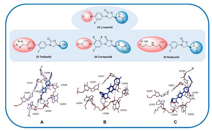 https://cdn.ncbi.nlm.nih.gov/pmc/blobs/77f2/9962477/e1072c704456/molecules-28-01762-g008.jpg