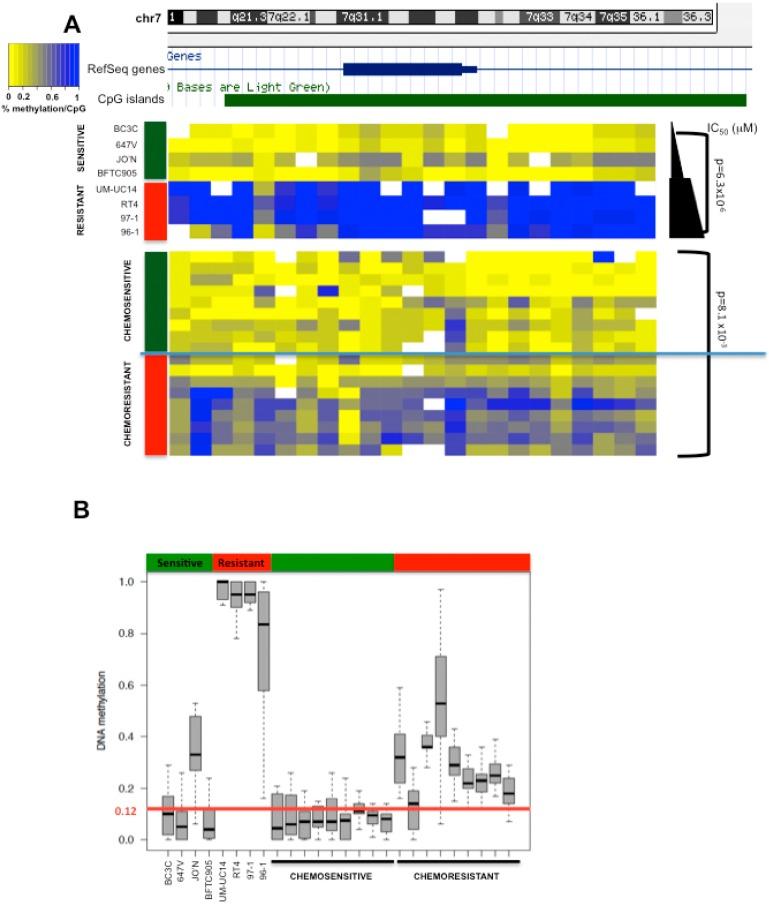https://cdn.ncbi.nlm.nih.gov/pmc/blobs/7802/5039423/a72eda78194b/biomolecules-06-00037-g003.jpg