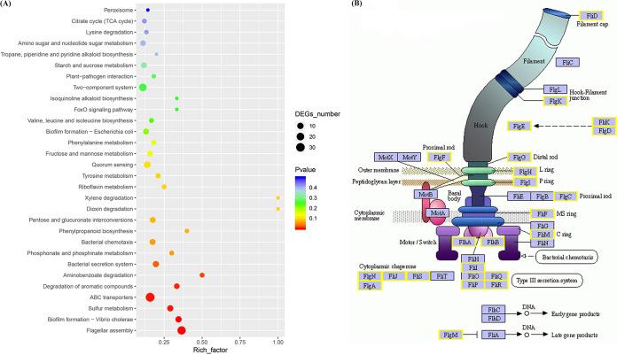https://cdn.ncbi.nlm.nih.gov/pmc/blobs/7804/9769682/0d74d23a7401/spectrum.02114-22-f005.jpg