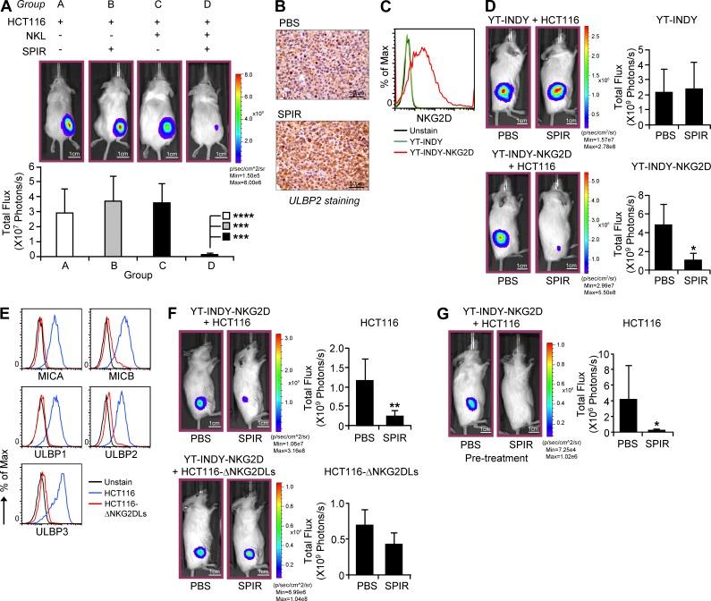 https://cdn.ncbi.nlm.nih.gov/pmc/blobs/780b/3832934/01d4138a1be6/JEM_20122292_Fig3.jpg