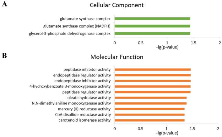 https://cdn.ncbi.nlm.nih.gov/pmc/blobs/7816/10341846/b4a74bf5fcc5/ijms-24-10898-g005.jpg