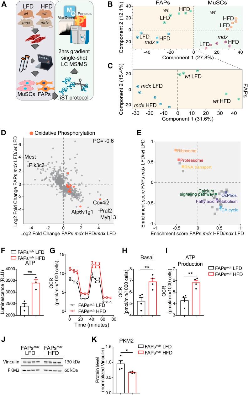 https://cdn.ncbi.nlm.nih.gov/pmc/blobs/7828/7003708/29c6ca2a7991/LSA-2020-00646_Fig3.jpg