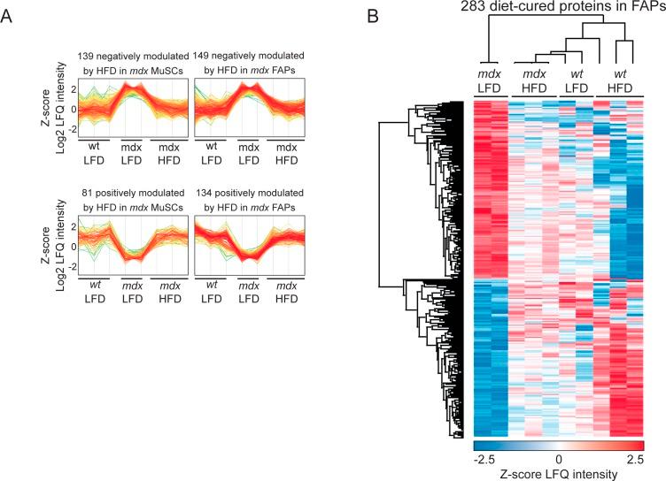 https://cdn.ncbi.nlm.nih.gov/pmc/blobs/7828/7003708/6e7433b36f61/LSA-2020-00646_FigS6.jpg