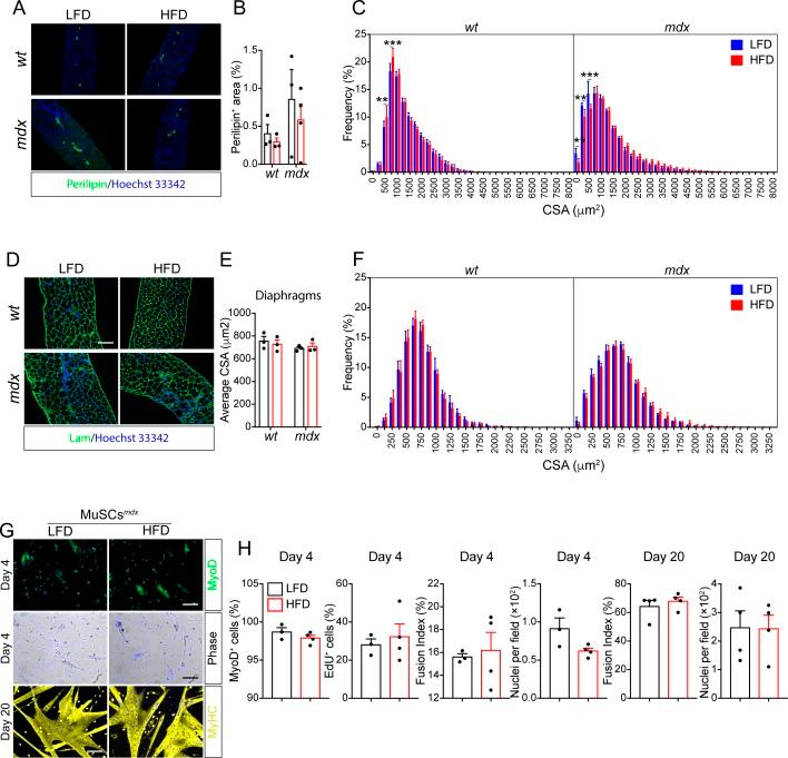 https://cdn.ncbi.nlm.nih.gov/pmc/blobs/7828/7003708/a2b4fc1e927a/LSA-2020-00646_FigS9.jpg